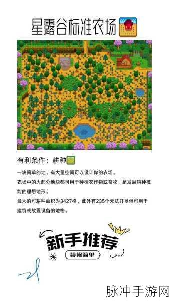 星露谷物语深度探索,果干流与酿酒流,打造你的农业帝国之路