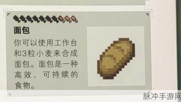 我的世界美食探索，全面解锁抗饿神器