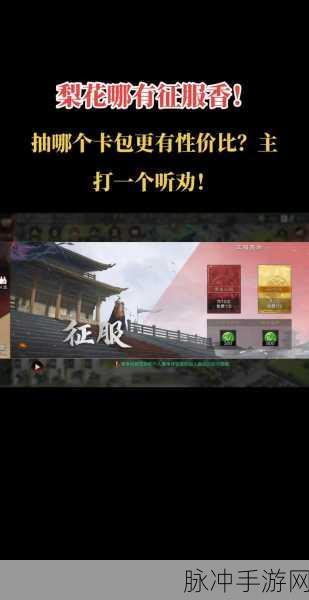 深度探索率土之滨,城池策略与实力碰撞的奥秘