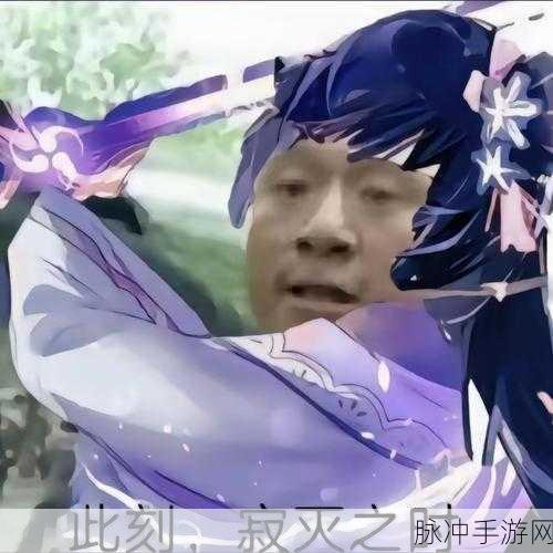 原神不敬仙师梗探秘，玩家眼中的趣味与调侃