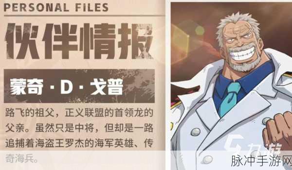 航海王壮志雄心新手角色选择,深度剖析与优选指南
