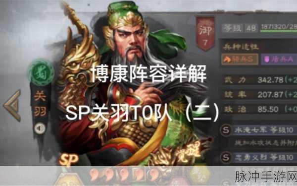 三国志战略版魏国属关羽阵容搭配深度解析