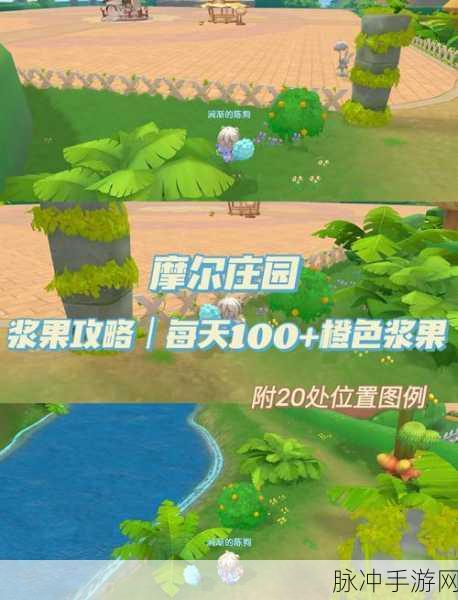 摩尔庄园手游家园石头路获取全解析