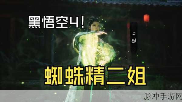 盘丝岭秘籍大公开，解锁蛛网之舞的绝美奥义