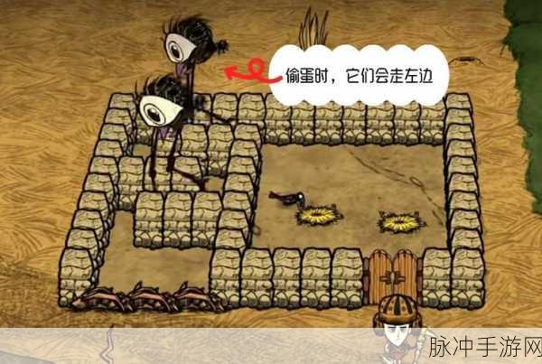 饥荒新家园小小鸟驯养指南,打造你的空中伙伴