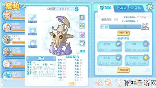 洛克王国万神殿探险指南,解锁神秘领域的钥匙