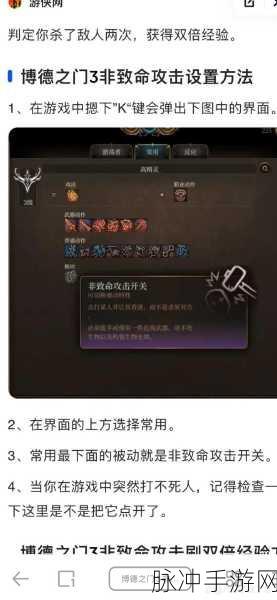 博德之门3，解锁非致命攻击，战斗新策略揭秘