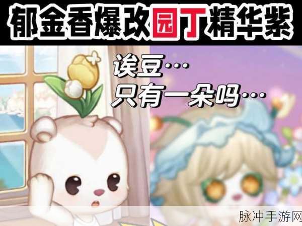 迷你世界丁香花的寻觅与培育之旅