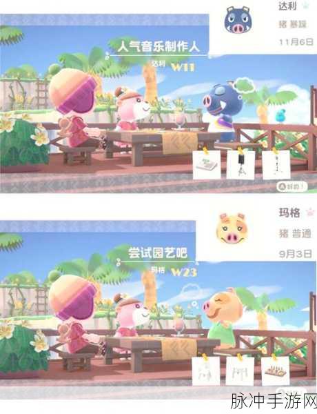 动物森友会,满背包送礼技巧大揭秘