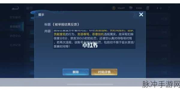 王者荣耀禁言30天,解锁攻略大揭秘!