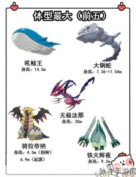宝可梦大探险,揭秘凯罗斯的独特之处与进化之谜