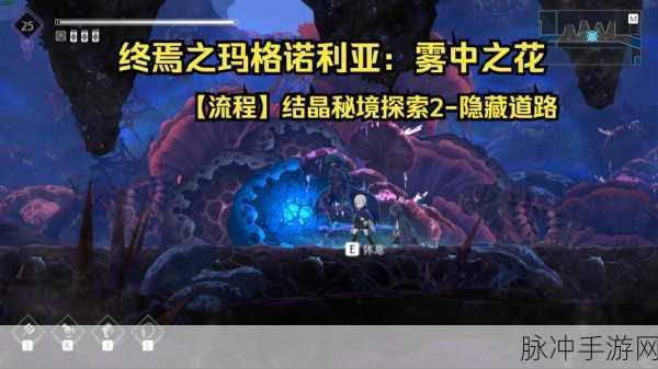 魔域迷城2深度探索,解锁秘境宝藏与隐藏任务全攻略