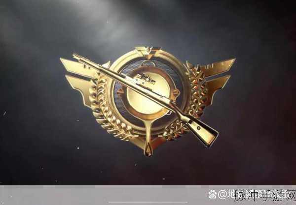 和平精英荣耀币,解锁稀有装备与炫酷外观的钥匙