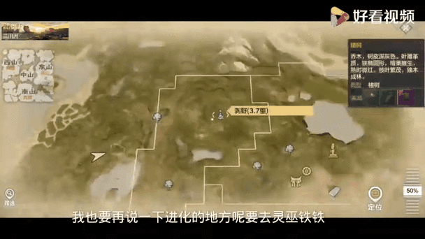 妄想山海奇遇之旅,解锁惊险副本的等级密钥