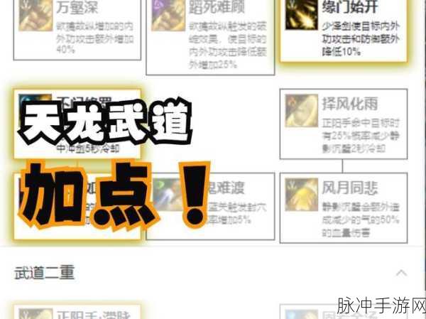 江湖风云录武道场登顶秘籍,高手进阶之路