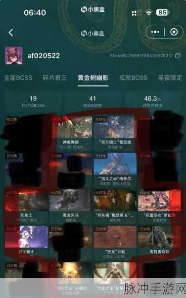 艾尔登法环IP归属揭秘,万代已放手