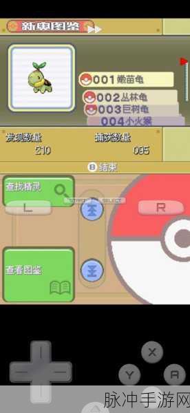 口袋妖怪白金版，巨树龟配招全攻略