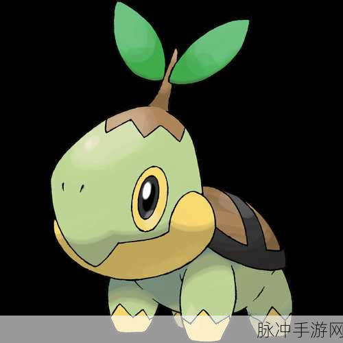 口袋妖怪白金版,巨树龟配招全攻略