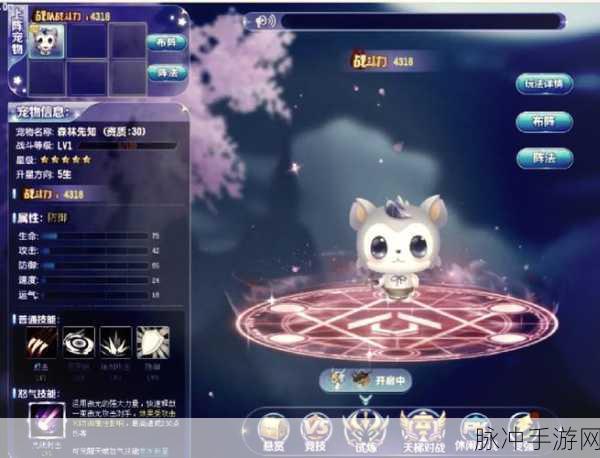QQ飞车手游宠物秘境深度探索，解锁宠物获取新秘籍