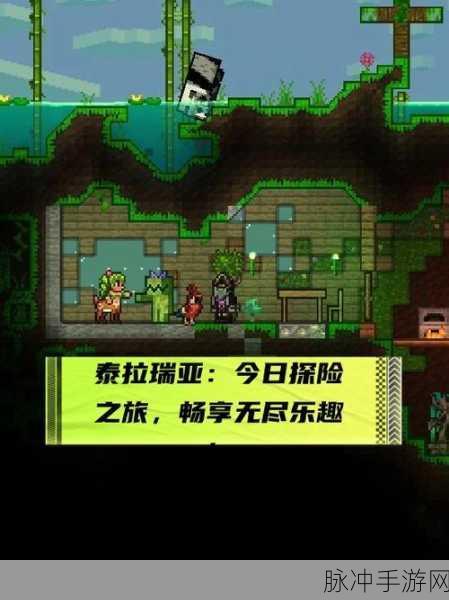 泰拉瑞亚恶魔刷法深度揭秘,助你轻松畅享游戏世界!