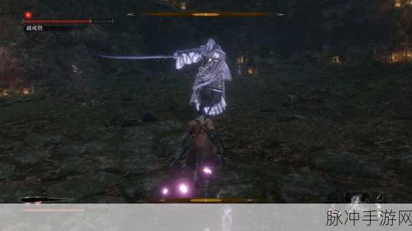 混沌与秩序深度探索,侣僧27级武术技能稀缺之谜