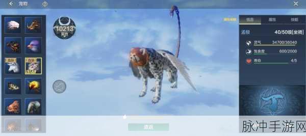 妄想山海飞羽图谱获取全攻略,解锁飞行之力的秘密