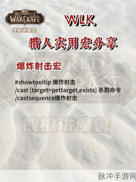 WLK射击猎人一键宏，解锁全能游戏体验的秘籍