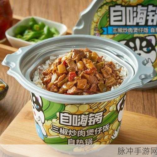 洛克王国美味米饭便当秘籍，解锁舌尖上的冒险