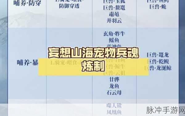 妄想山海蚩尤旗兵魂凝练深度解析,战力飙升秘籍大公开