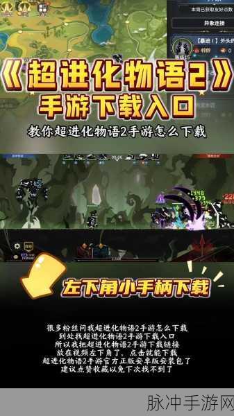 超进化物语混沌开局全攻略,解锁极致战斗体验