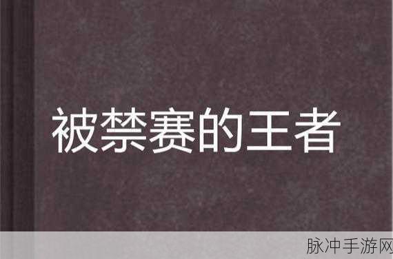 王者荣耀,探究禁赛背后的原因与应对