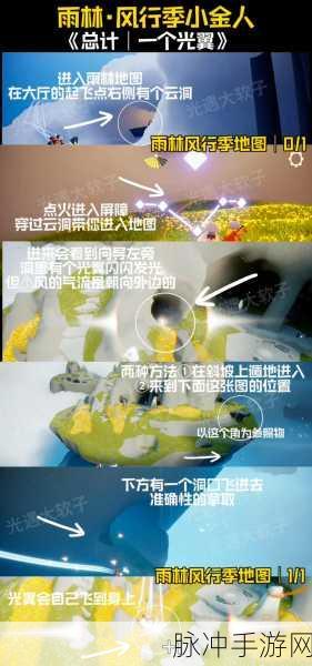 光遇雨林探险深度指南,30个小金人位置全揭秘