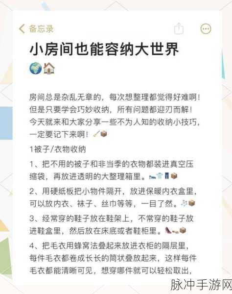 超级收纳馆真掘掘子，解锁你的终极收纳大师秘籍