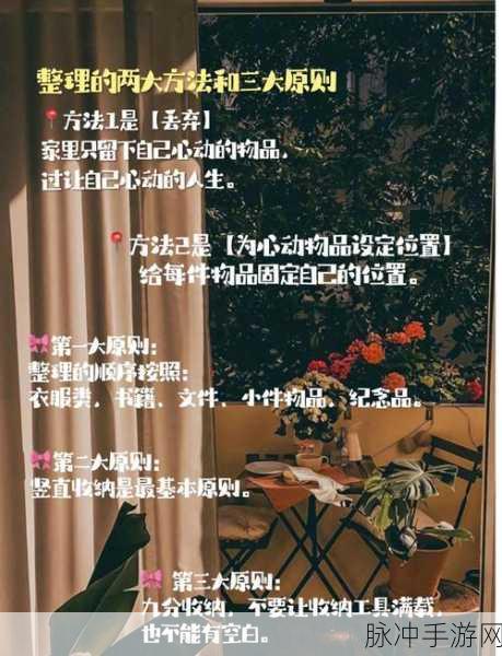 超级收纳馆真掘掘子,解锁你的终极收纳大师秘籍