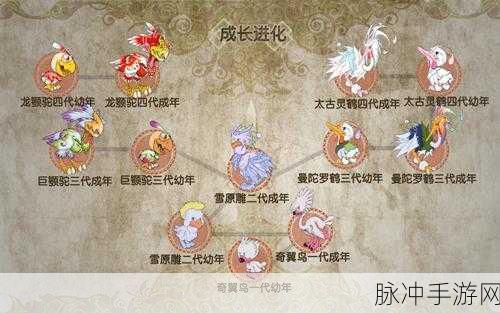 宠物王国外传,揭秘合体神兽的终极配方