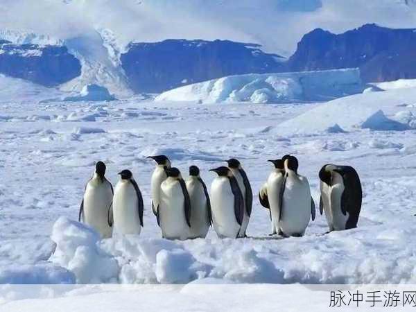 雪地企鹅IcyPenguin,冰雪跑酷新冒险,安卓玩家不容错过!
