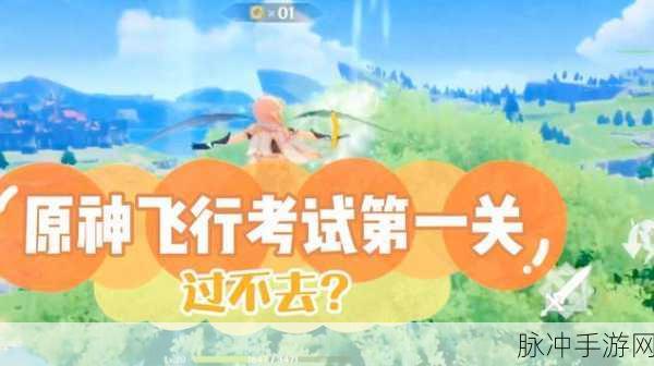 原神飞行执照在手,翱翔天际不是梦!轻松解锁飞行挑战,赢取豪华奖励秘籍