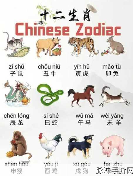 探寻生肖之谜，天下无双的动物究竟是哪个？