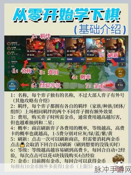 金铲铲之战，皮城玩法深度解析与实战攻略