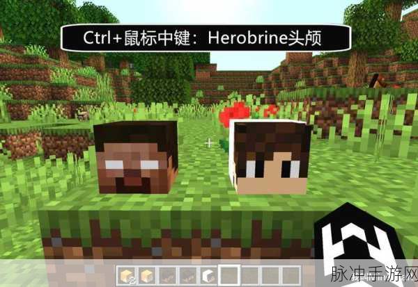 我的世界生物头颅获取秘籍，指令刷取全攻略