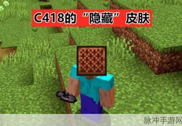 我的世界生物头颅获取秘籍,指令刷取全攻略