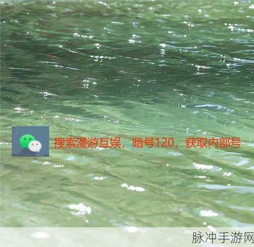 烟雨江湖神女之谜任务全攻略，揭秘神女身份