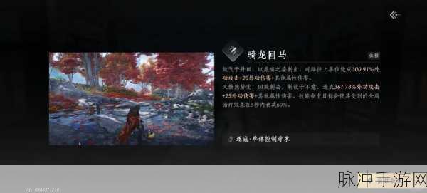 燕云十六声,解锁乾坤挪移奇术,揭秘武学秘境之旅