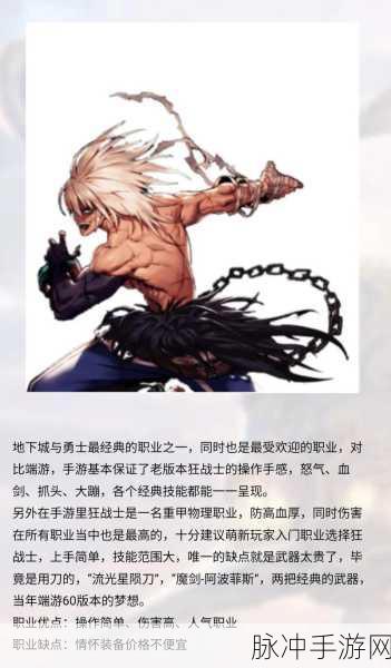 DNF金身职业真的无敌？揭秘克制之道