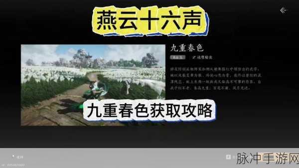 燕云十六声，烟花效果与用途的深度探索