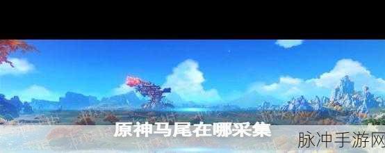 原神探索攻略，巧妙驱赶荻花洲的狗狗们