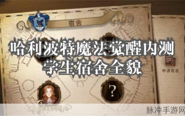 哈利波特魔法觉醒，揭秘宿舍选址与魔法世界的隐藏奥秘