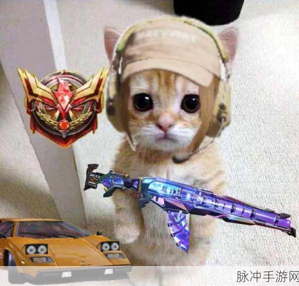 使命召唤,揭秘猫猫应援物的获取秘籍
