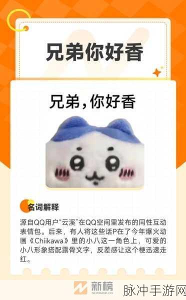 疯狂梗传风靡指尖,文字解谜掀起新潮流