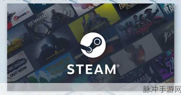 Steam绝地求生,黑屏困扰终结者指南!